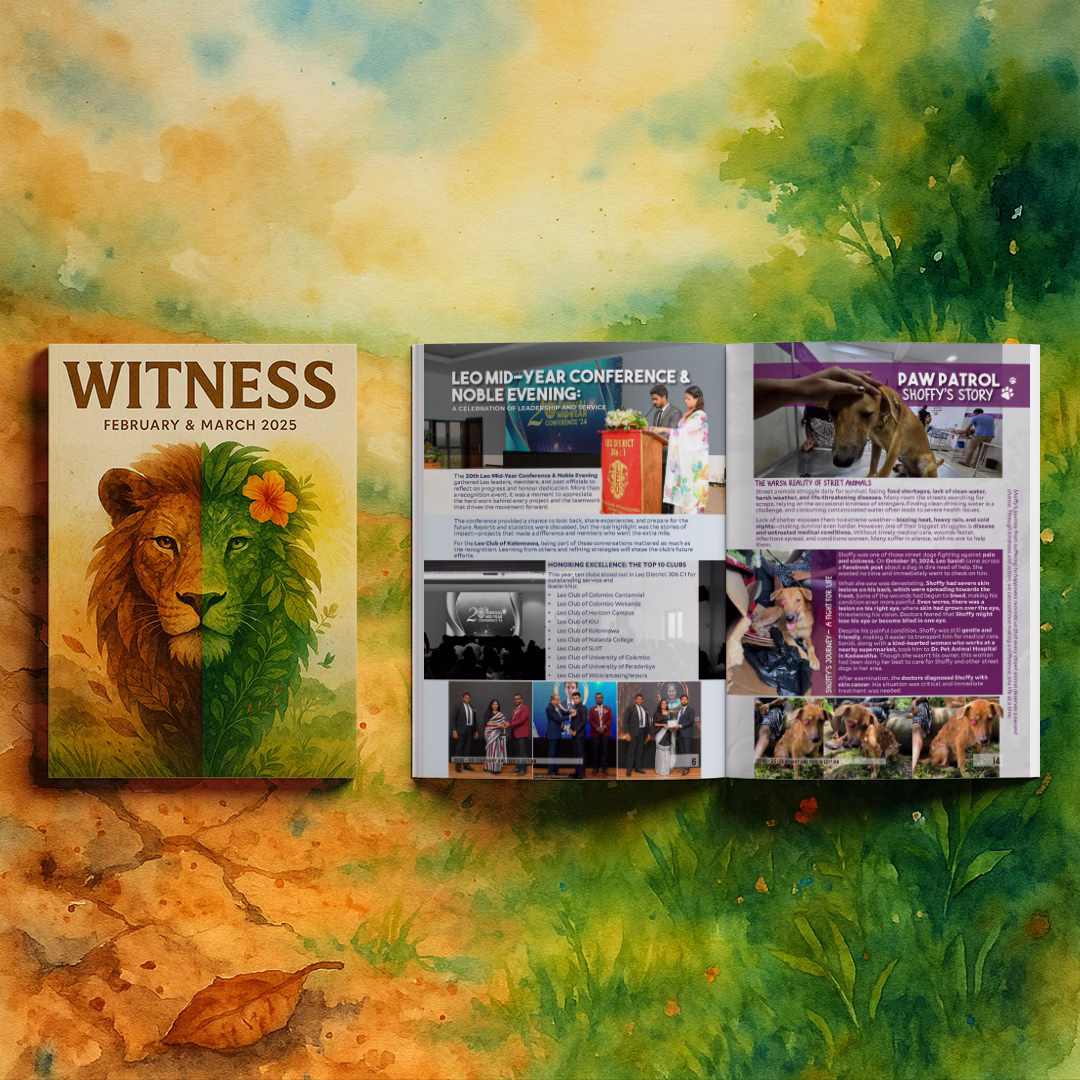 Witness February & March 2025