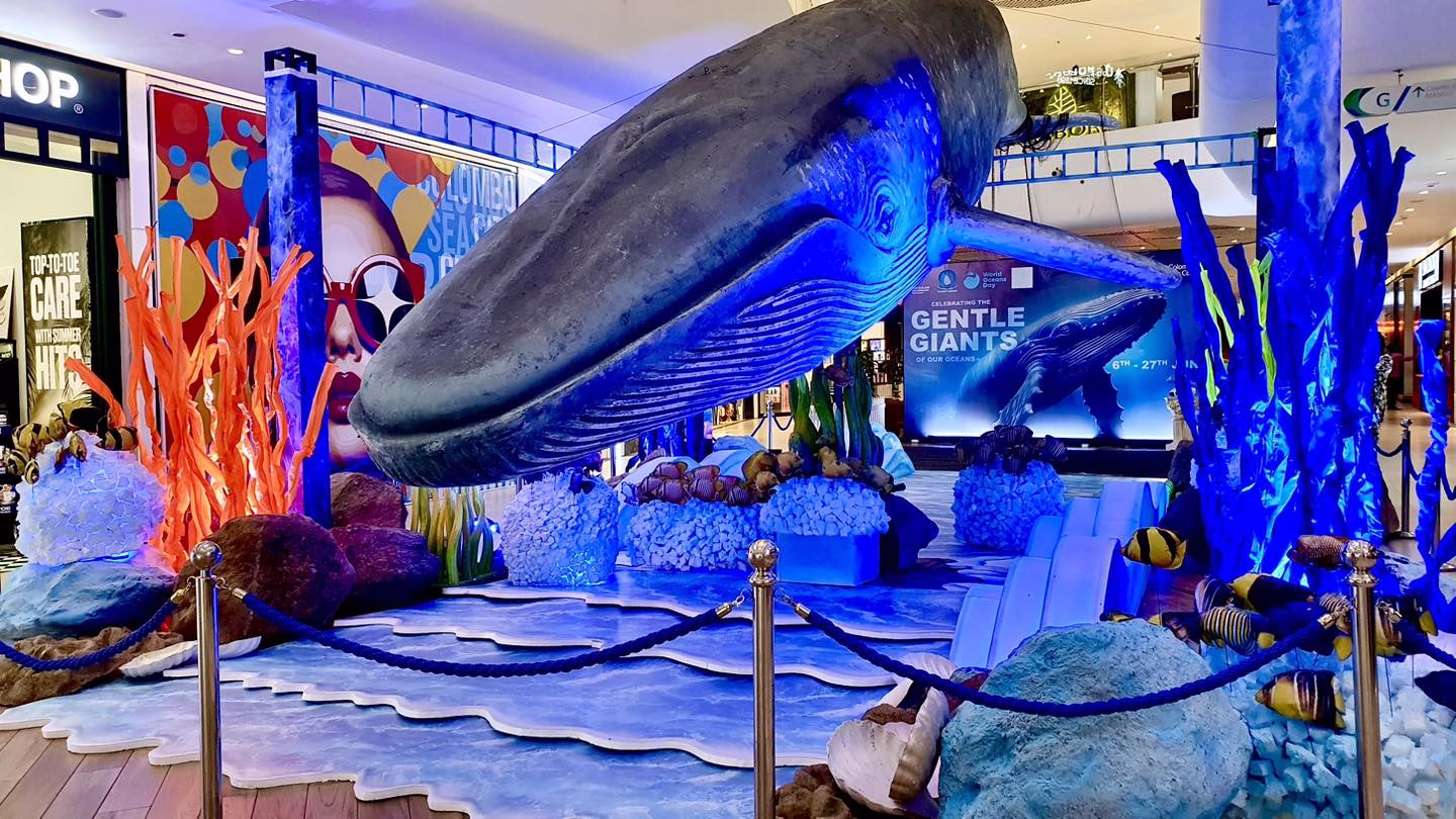 A life-sized blue whale replica suspended above an immersive ocean-themed exhibit with coral models and tropical fish at Colombo City Centre.