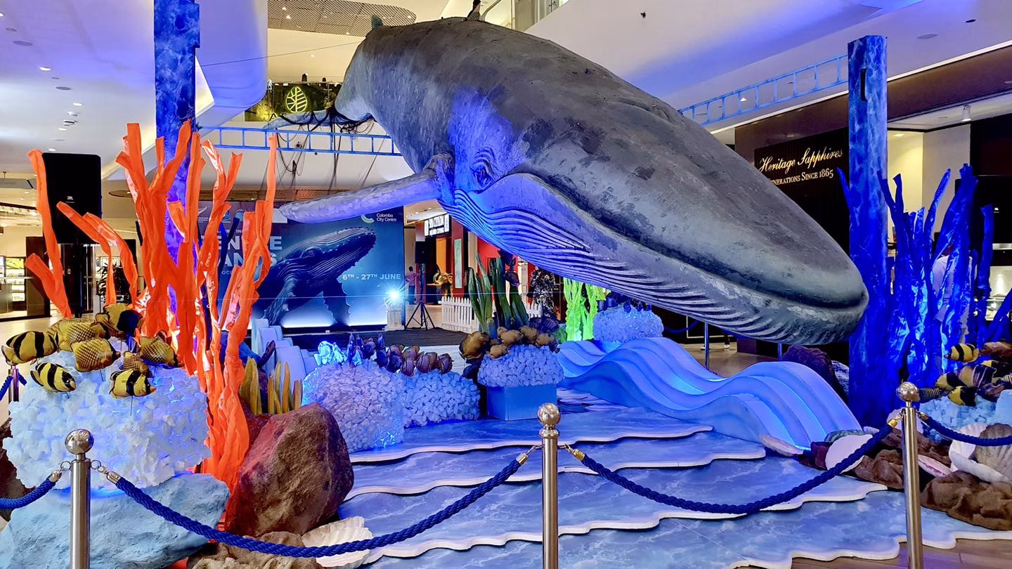 Side view of the giant whale replica surrounded by vibrant coral structures, emphasizing the "Gentle Giants" marine theme.